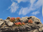 Self-Adhesive Static grass Tufts -4mm- -Red Wildflowers- - MiniGrounds