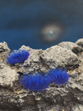 Self-Adhesive Static grass Tufts -4mm- Midnight Blue - MiniGrounds