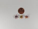 Static grass Tufts -6mm- -Mixed Wildflowers-