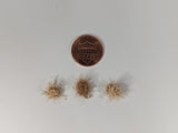 Self-Adhesive Static grass Tufts -8mm- Autumn Flowers-