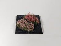 Adhesive Static grass Tufts -6mm- -XL Pink Flowers-